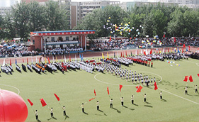 茄子短视频污案例-重庆人和小学体育场