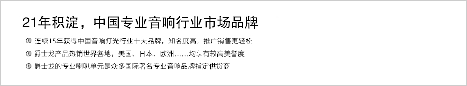 21年积淀，中国专业音响行业市场品牌